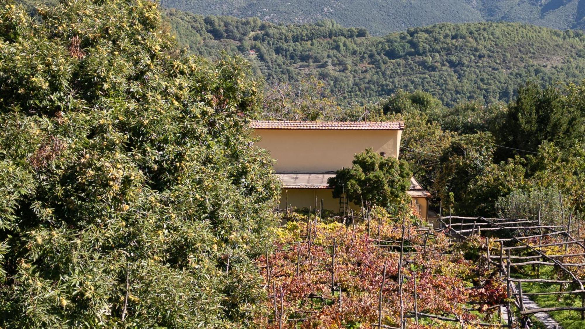 Casa Giordano Tramonti Exterior foto