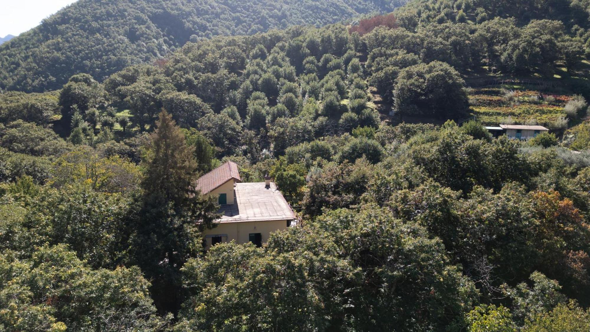 Casa Giordano Tramonti Exterior foto
