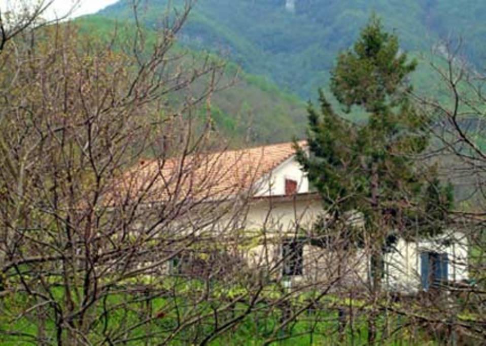 Casa Giordano Tramonti Exterior foto